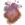 Sakura Smoke Bomb
